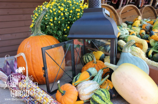 Outdoor Fall Decorating Ideas