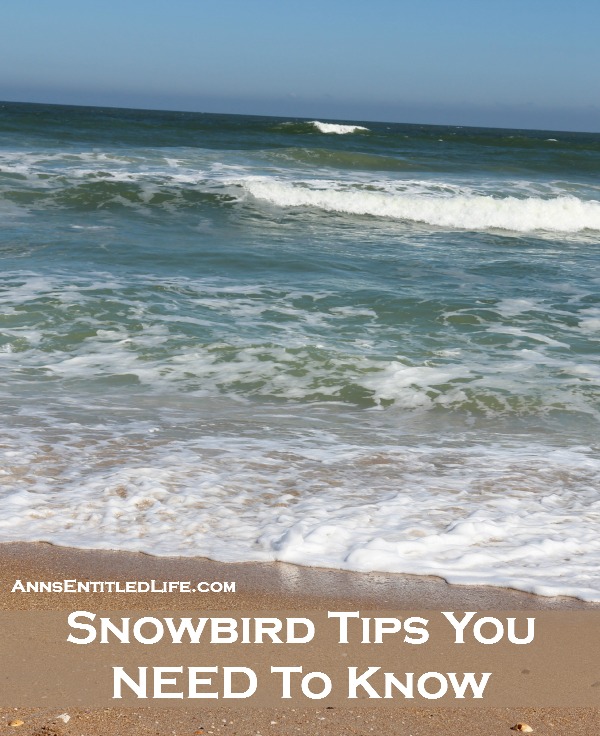 Snowbird Tips You NEED To Know. Are you a snowbird traveling south for the winter? Tips, advice and information for snowbird retirees (and non-retirees!) who plan to travel to warmer destinations during the winter months. For those that do not know what a snowbird is, it is commonly defined as a northerner who moves to a warmer southern state just for the winter months.