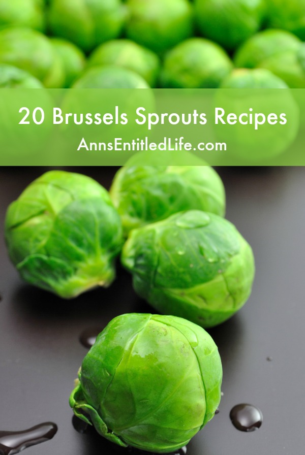 20 Brussels Sprouts Recipes. Make the most of the fall harvest with these tempting recipes 20 Brussels Sprouts Recipes for sides and main dishes. These delicious and easy Brussels sprouts recipes will have your entire family asking for seconds.