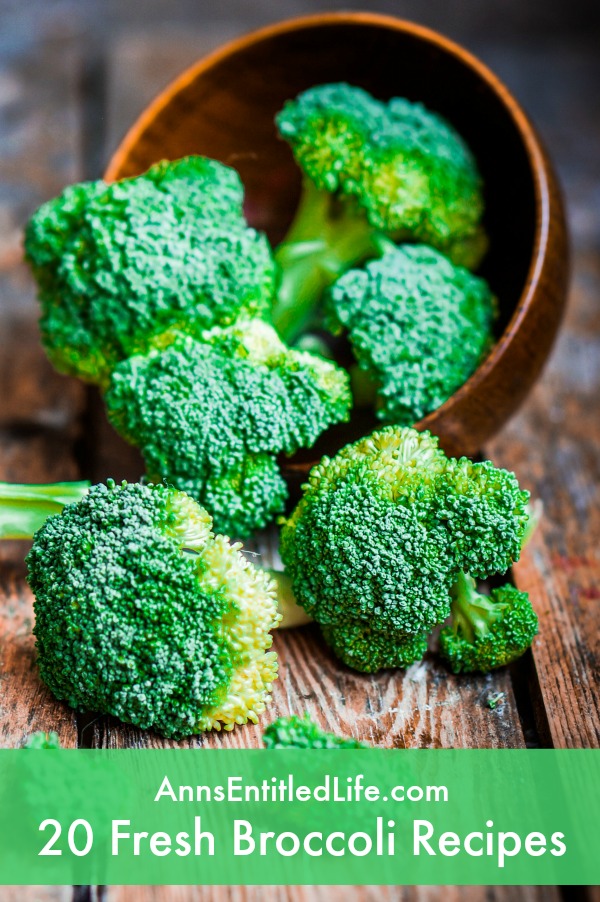 20 Fresh Broccoli Recipes. Quiches, Soups, Salads and Bakes; you'll have no trouble getting your kids to eat their broccoli with these delicious 20 Fresh Broccoli Recipes.