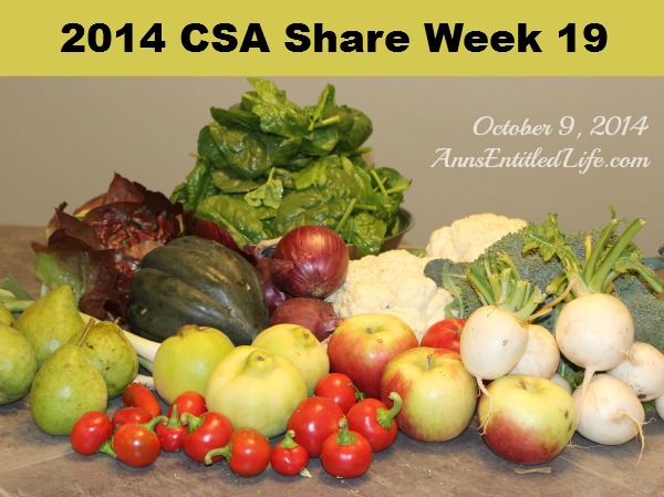 2014 CSA Share Week 19