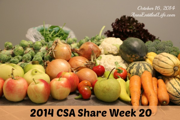 2014 CSA Share Week 20