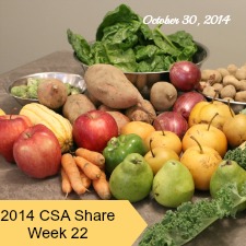 2014 CSA Share Week 22