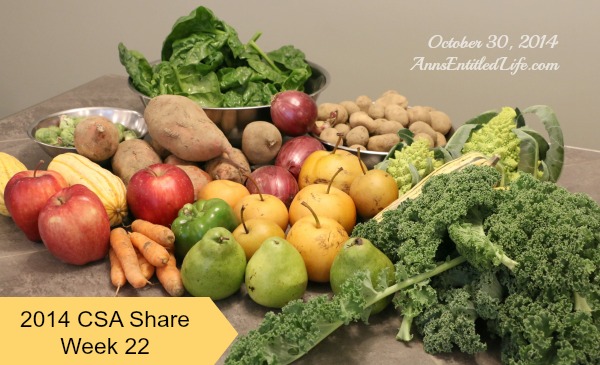 2014 CSA Share Week 20