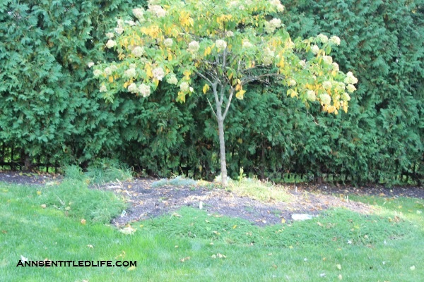 Putting The Garden Beds To Rest