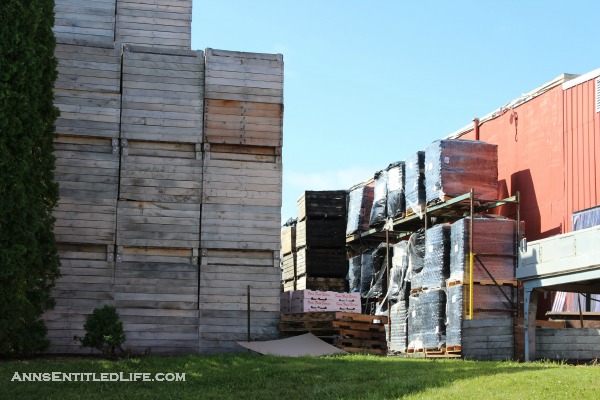 Apple crates ready to ship. Photo taken by AnnEnetitledLife.com