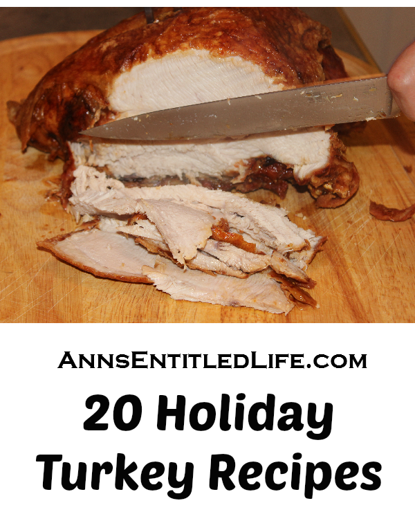 20 Holiday Turkey Recipes. Roasted, Brined, Slow Cooked or Deep Fried; try one of these mouth-watering Turkey Recipes this holiday season. From traditional to trendy, there is something for everyone in these 20 Holiday Turkey Recipes.