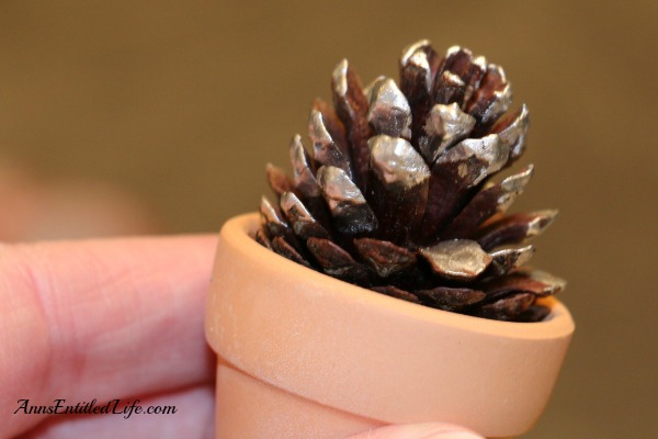 Pine Cone Holiday Place Card Holders