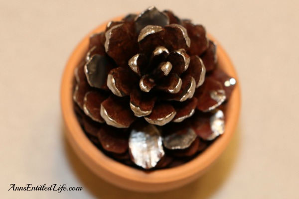 Pine Cone Holiday Place Card Holders