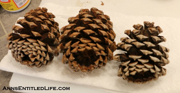 Painted Pine Cones in a Basket