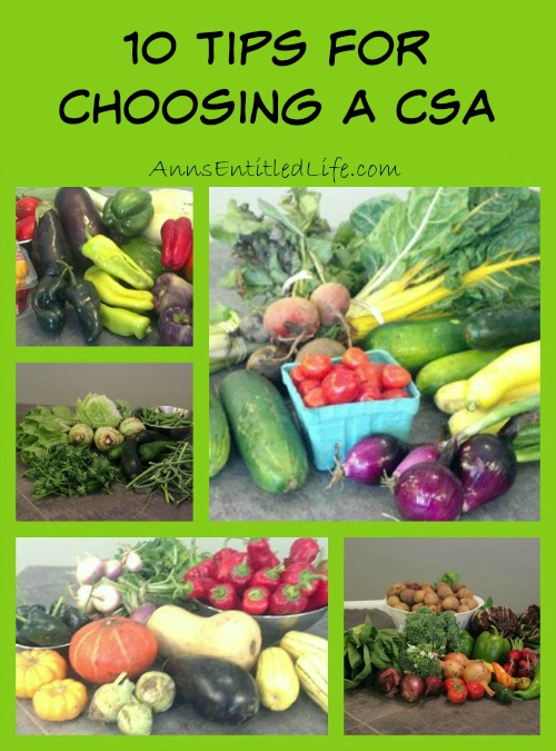 10 Tips For Choosing a CSA