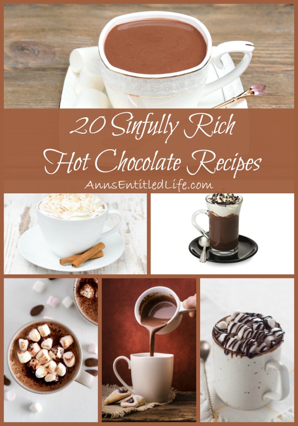 20 Sinfully Rich Hot Chocolate Recipes. These 20 Sinfully Rich Hot Chocolate Recipes will satisfy your hot cocoa craving on a cold winter night. Warm up from the inside out with a wonderful cup of homemade hot chocolate.