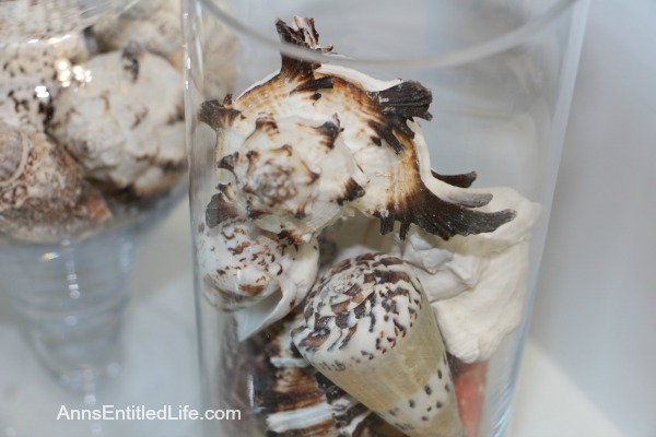 Apothecary Jars with Seashells