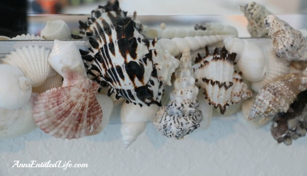 How To Make A Seashell Mirror