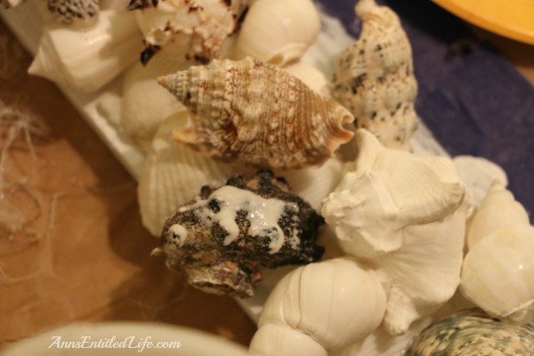 How To Make A Seashell Mirror