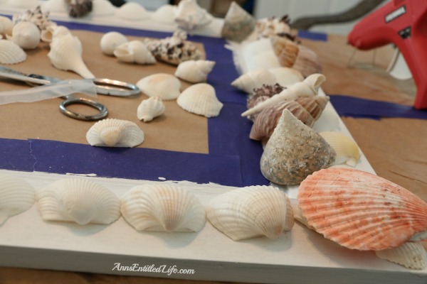 How To Make A Seashell Mirror