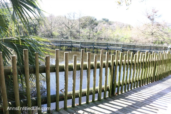 St. Augustine Alligator Farm