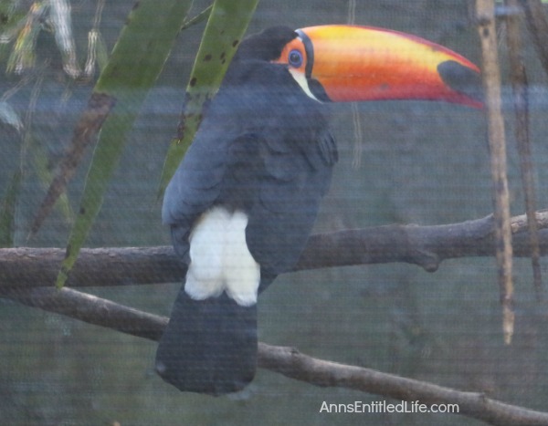 St. Augustine Alligator Farm