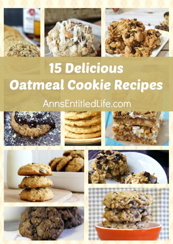 15 Delicious Oatmeal Cookie Recipes. Oatmeal cookies are a perennial favorite for kids and adults alike! Crunchy, soft, chewy, frosted and stuffed; try one of these 15 Delicious Oatmeal Cookie Recipes today!