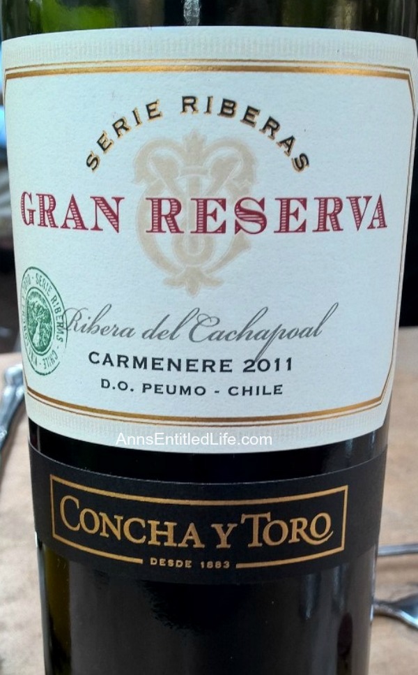 Concha y Toro Gran Reserva Serie Riberas Carmenere 2011 Wine Review