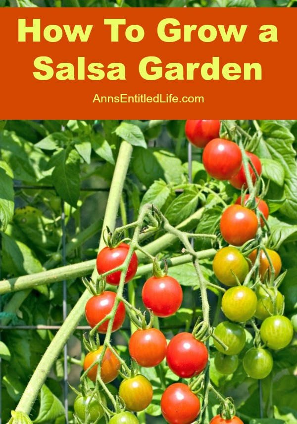 How To Grow a Salsa Garden. Growing a themed garden is a lot of fun and brings a bit of creativity to your garden. On a hot summer day, break out the chips and salsa with a pitcher of margaritas for a nice relaxing afternoon. How awesome would it be if all the ingredients for your homemade salsa were grown right in your own organic backyard garden? Here is how to grow a salsa garden this year.