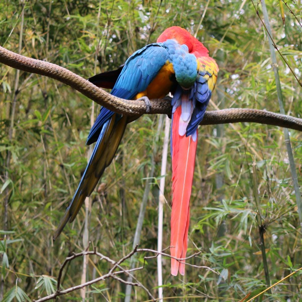 The Jacksonville Zoo