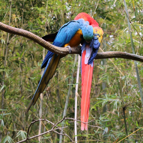 The Jacksonville Zoo