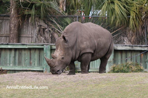 The Jacksonville Zoo