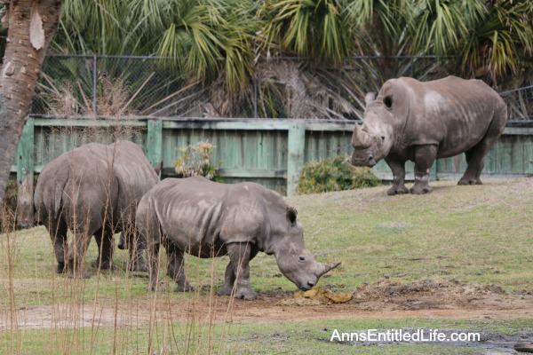 The Jacksonville Zoo