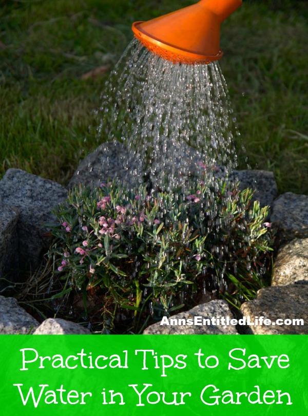 Practical Tips to Save Water in Your Garden. The use of excessive water means an increase on your meter, causing you to pay more money and cause possible plant damage. In order to prevent such situations, here are a few practical ways to save water in your garden.