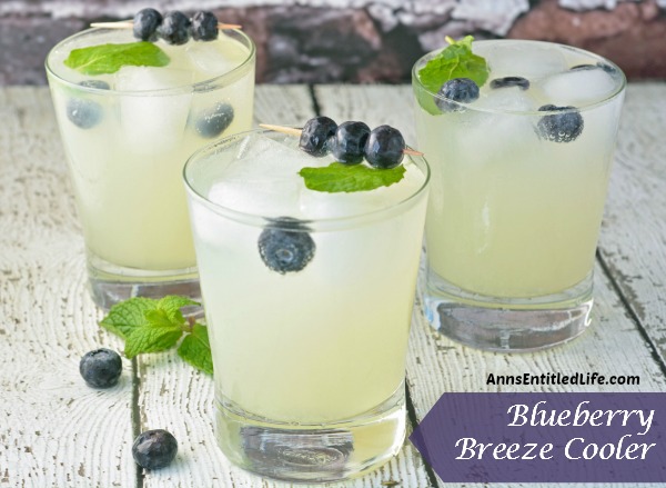 Blueberry Breeze Cooler