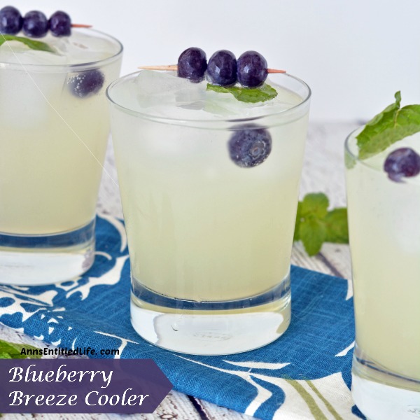 Blueberry Breeze Cooler