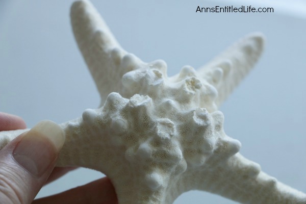 Simple Starfish Craft