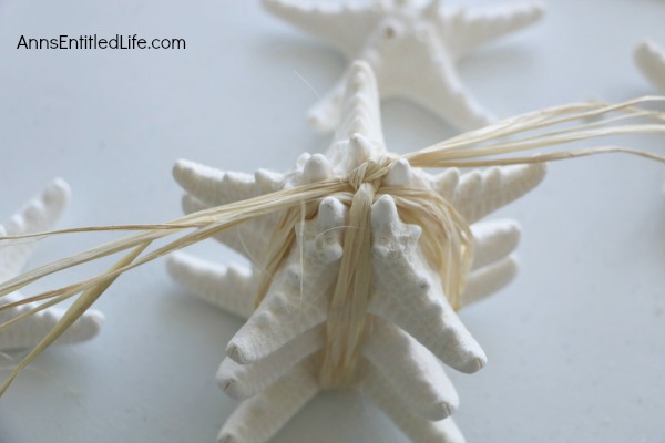 Simple Starfish Craft