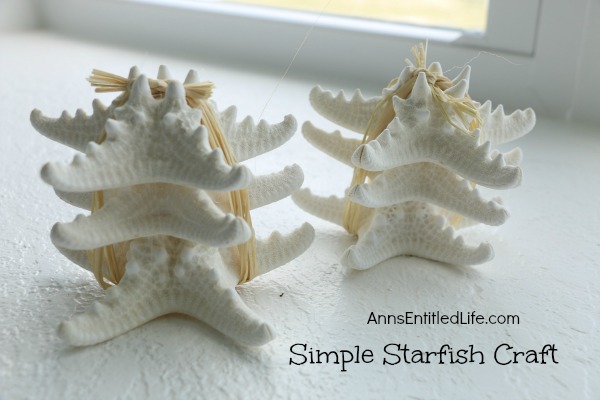 Simple Starfish Craft