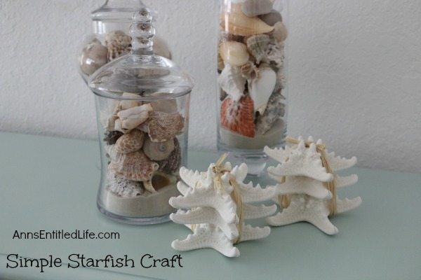 Simple Starfish Craft