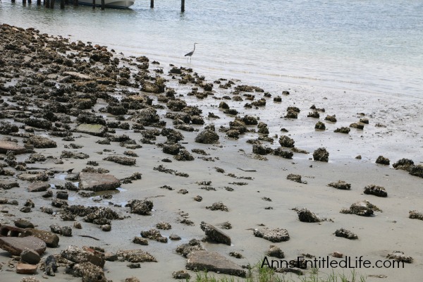 Vilano Beach Pier