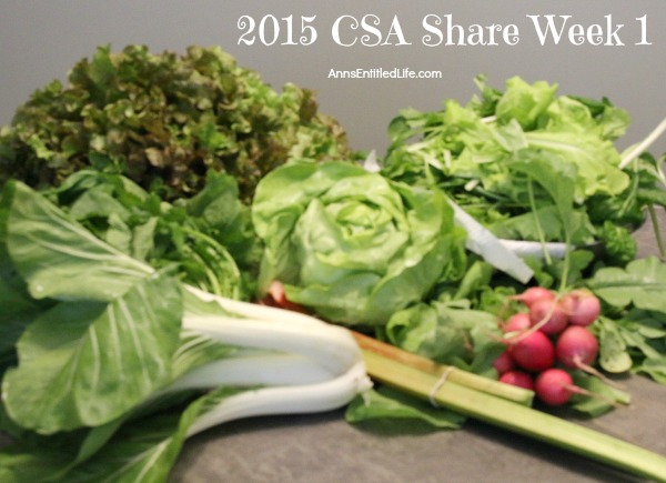 2015 CSA Share Week 1