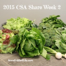 2015 CSA Share Week 2