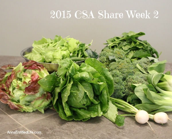 2015 CSA Share Week 1