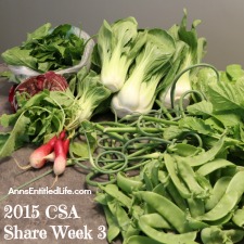 2015 CSA Share Week 3