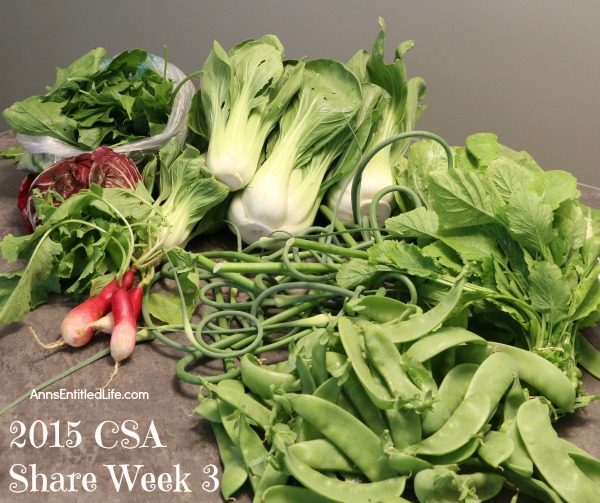 2015 CSA Share Week 3