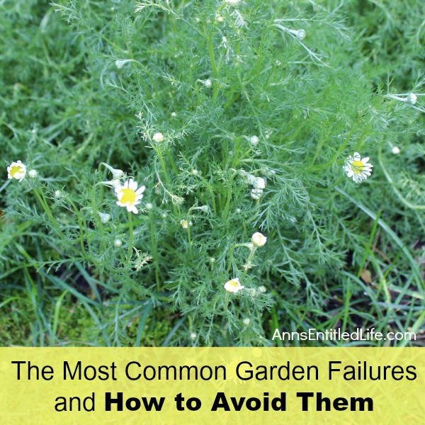 The Most Common Garden Failures and How to Avoid Them. Identifying common causes for most garden failures. These simple solutions will help avoid the reasons most gardens fail, and offer corrective measures so your garden will thrive!