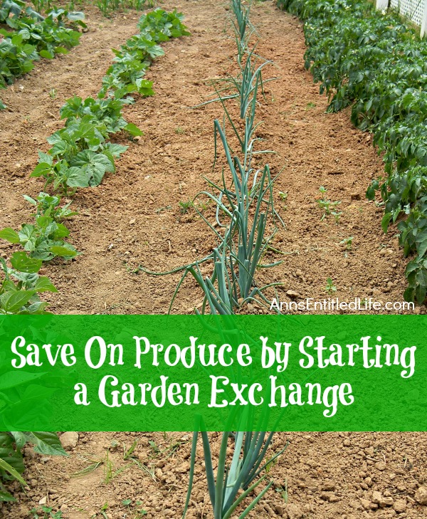 Save On Produce by Starting a Garden Exchange; tips and advice on how to start and participate in a garden exchange. Spending too much on produce? Or perhaps your garden yielded an overabundance of a particular fruit or vegetable and you are tired of eating tomatoes every night for dinner? Instead of leaving a bag of zucchini on the neighbor’s doorstep and running, get creative and start a garden exchange!