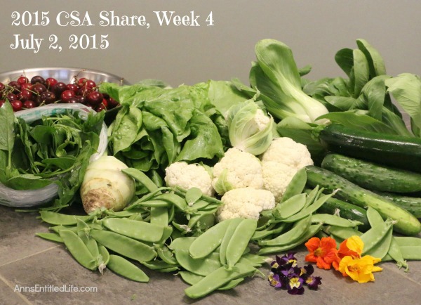 2015 CSA Share Week 4