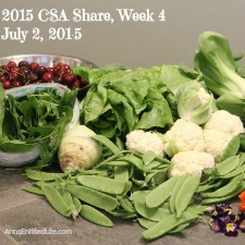 2015 CSA Share Week 4