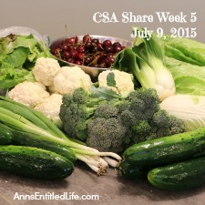2015 CSA Share Week 5