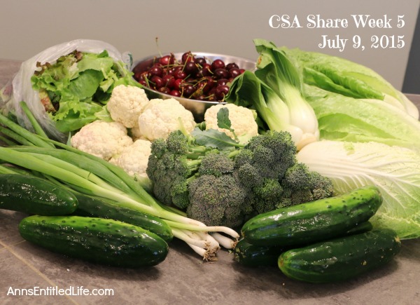 2015 CSA Share Week 5