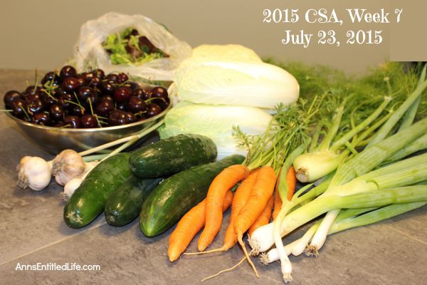 2015 CSA Share Week 7