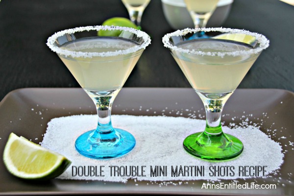 Double Trouble Mini Martini Shots Recipe. Reinvent the classic martini with these pint-sized tequila martinis in mini glasses. Double trouble at your next party!